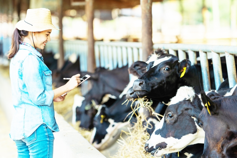 Tipps zur Verbesserung der Leistung Ihres Futtermischwagens